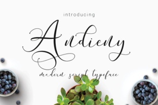 Andieny Font Review: Modern Script for Campaigns