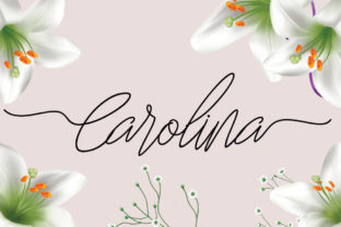 Carolina Font for Editorial Design