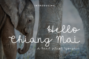 Hello Chiang Mai Font: A Stylish Script for Small Business Branding