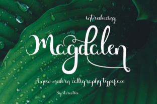 Magdalen Font for Professional Branding
