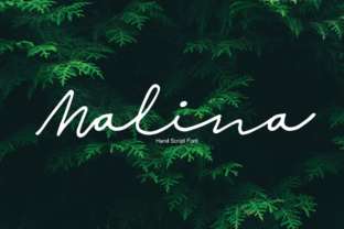 Malina: The Handwritten Script Font for Bold Campaigns