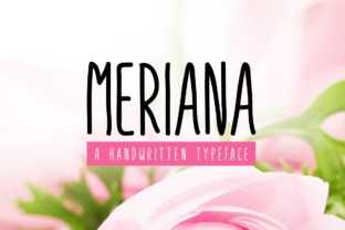 Meriana: A Sweet Font for Business Branding