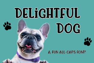 Using Delightful Dog Typeface for Quirky Brand Identity